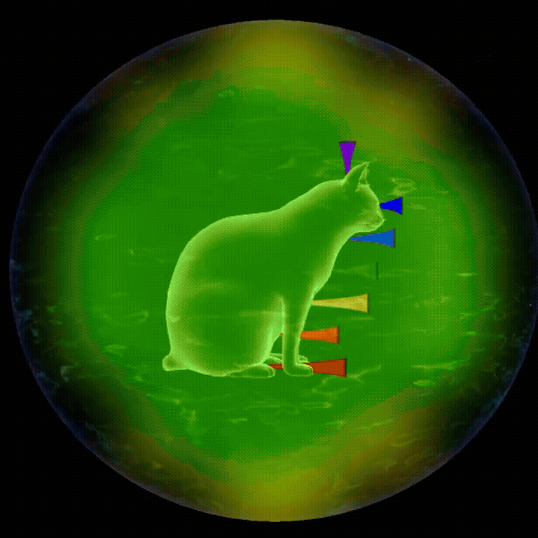 large GIF - cat aura 10 seconds